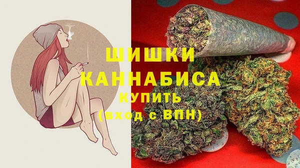 дмт Алзамай