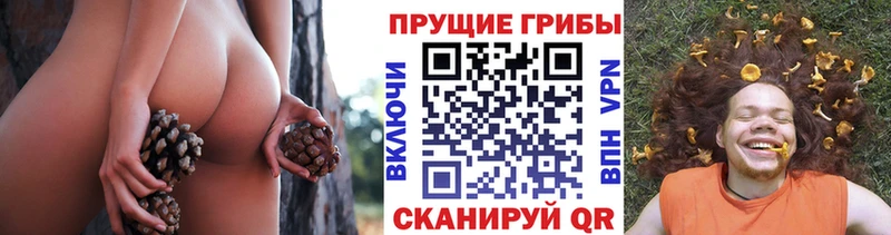 мега как войти  Трёхгорный  darknet состав  Псилоцибиновые грибы Magic Shrooms 